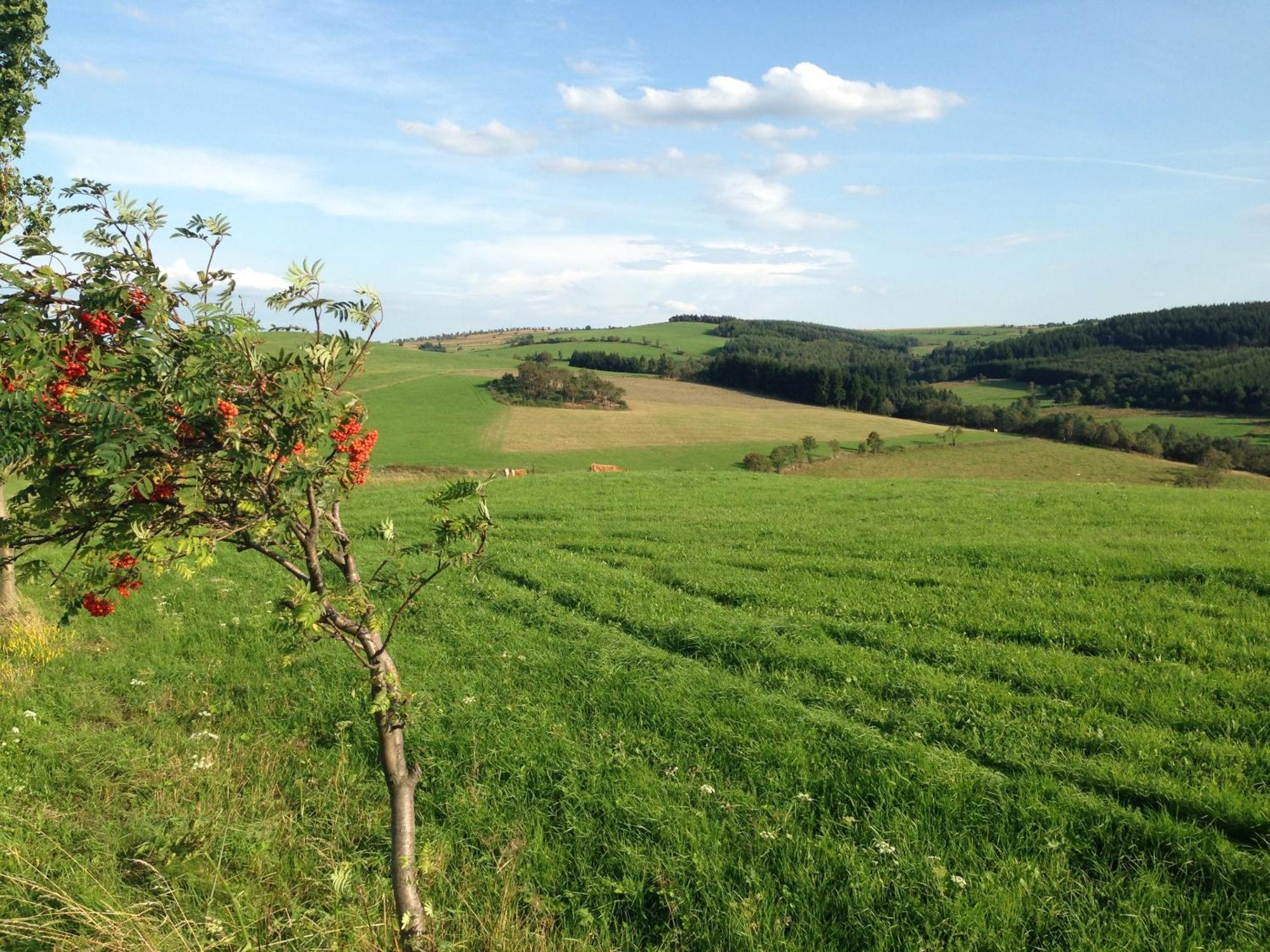 Ferienhaus Bikehuette Rehnhaeusl Geising Kültér fotó