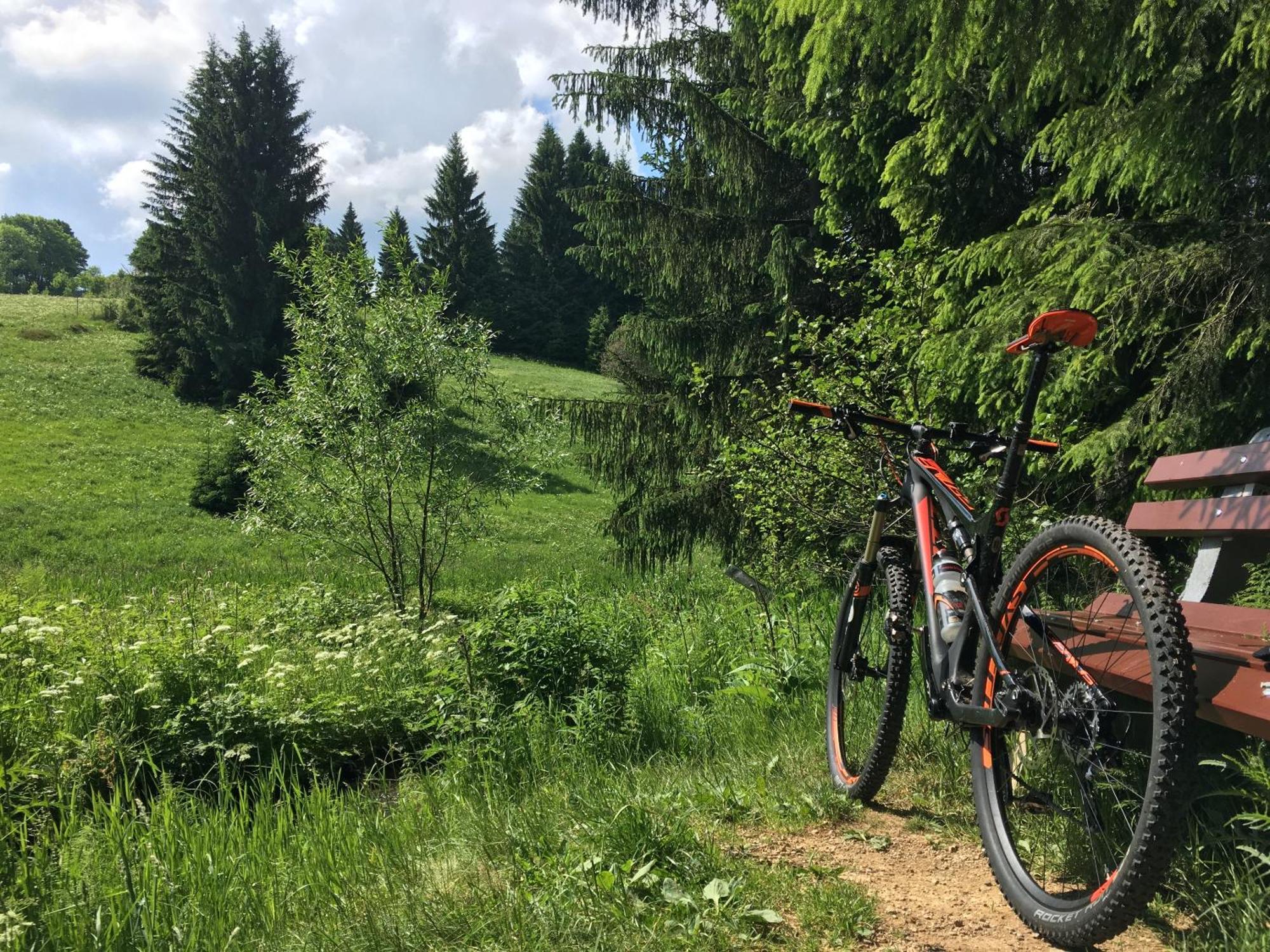 Ferienhaus Bikehuette Rehnhaeusl Geising Kültér fotó